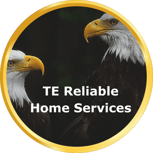 TE Reliable Logo
